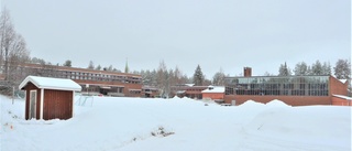 Succé förra vintern • Snöleklandet tillbaka • "Vi byter bara ställe"