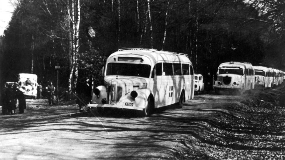 Av alla de som fördrevs i Europa under andra världskriget kunde Röda korsets vita bussar hjälpa en liten del. 