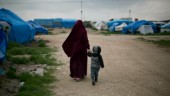 Uppgifter: IS-kvinnor på väg till Sverige