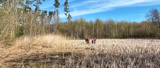 Kommunen gör klimatsatsning vid Dunteberget