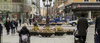 Ny prognos: Uppsala väntas växa långsammare