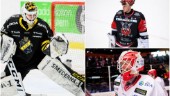 Norran listar: Fyra tänkbara ersättare till Söderblom: Succémålvakten från Hockeyallsvenskan • Jokern • NHL-lånet • Stortalangen