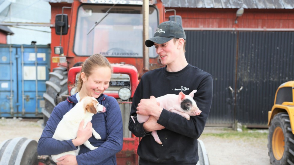 Lilli Ejdertun och Eric Jakobsson bor tillsammans på Rotarve gård tillsammans med grisar, hundar, katter, hästar och dikor. 