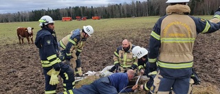 TV: Se dramatiska räddningsinsatsen utanför Frödinge • Kviga på 250 kilo fastnade i en brunn • Ägaren: "Just nu är jag väldigt lättad"