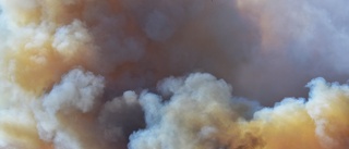 Evakuering vid växande skogsbrand i USA