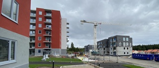 Efter konkursen: Kommunfastigheters byggprojekt i Odlaren blir dyrare