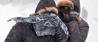 Vädervarning för hela Västerbotten i morgon