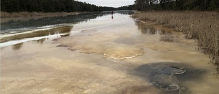 Stor fläck på skogssjö – men myndigheterna avfärdar