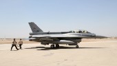 Flygräder i Irak mot misstänkta terrormål