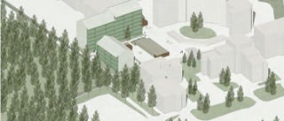 Plan för 49 nya bostäder på Björkskatan