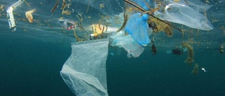 Plastskräp hotar havets djur: "Skrämmande"