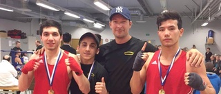 Artur och Nasir vann boxningsfighter i Rovaniemi