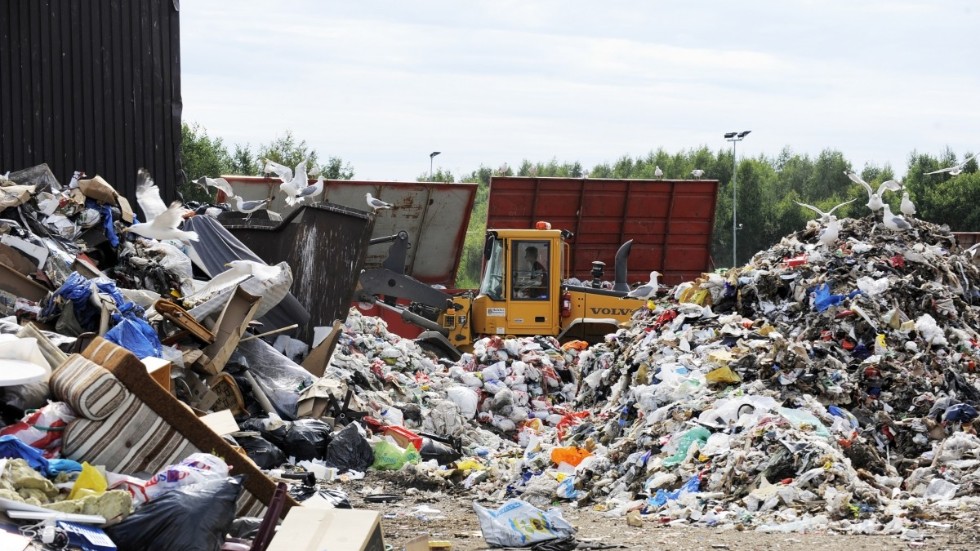 Ett minimikrav borde vara att kommunala avfallsanläggningar och soptippar är inhägnade. Sedan behövs en kraftigt ökad avskjutning för att decimera vildsvinsstammen till en rimlig nivå, skriver Jeanette Blackert, ordförande LRF Östergötland.