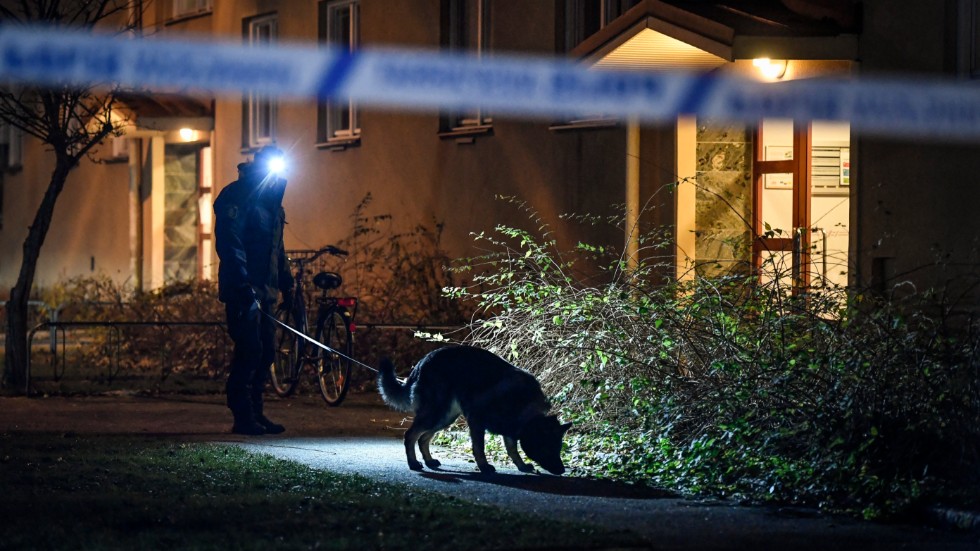 Polis med hund undersöker ett område i stadsdelen Fröslunda i Eskilstuna sedan en ung pojke blivit skjuten.