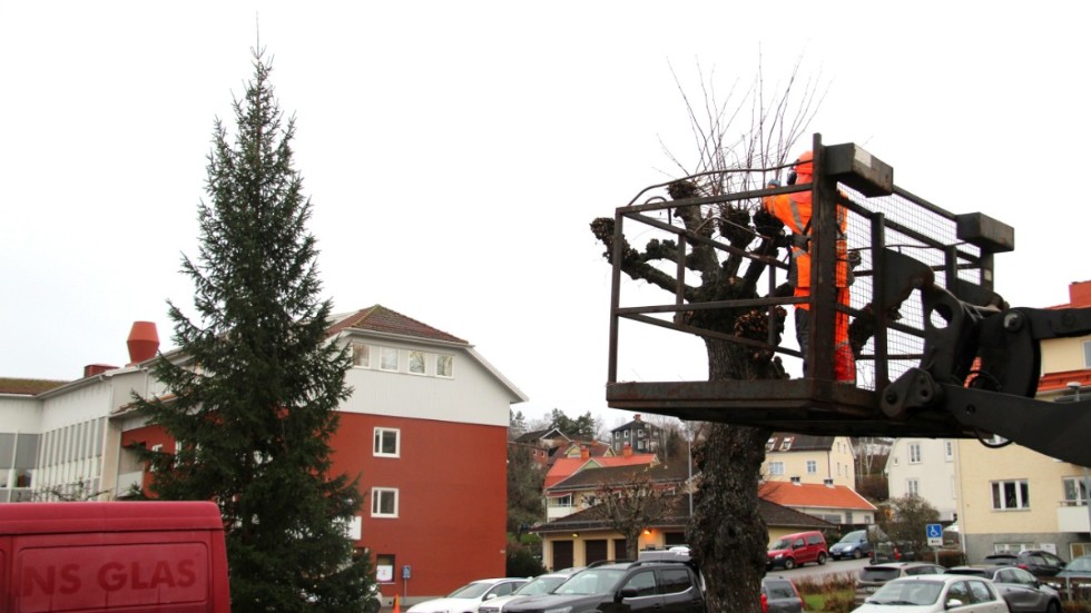 Kommunens julgranar är på plats i Kinda och redo sprida julstämning lagom till första advent.
