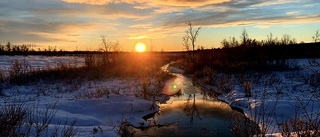 Läsarbild av Agnetha Lantto, Kiruna