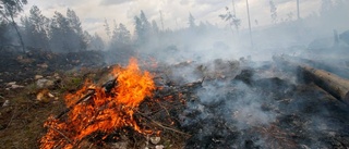 Stor risk för skogsbränder