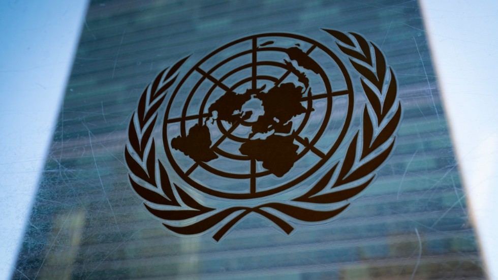 De 193 medlemsländerna i FN:s generalförsamling röstade på tisdagen igenom en resolution som påverkar vetoförfarandet. Arkivbild.