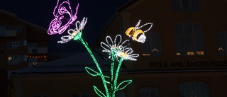 Parkavdelningen presenterar årets lysande nyhet – Årets motiv hyllar de livsviktiga pollinatörerna