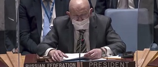 Säkerhetsråd röstar om fördömande av Ryssland