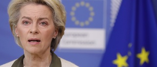 Ukraina vill till EU – men lång väg kvar
