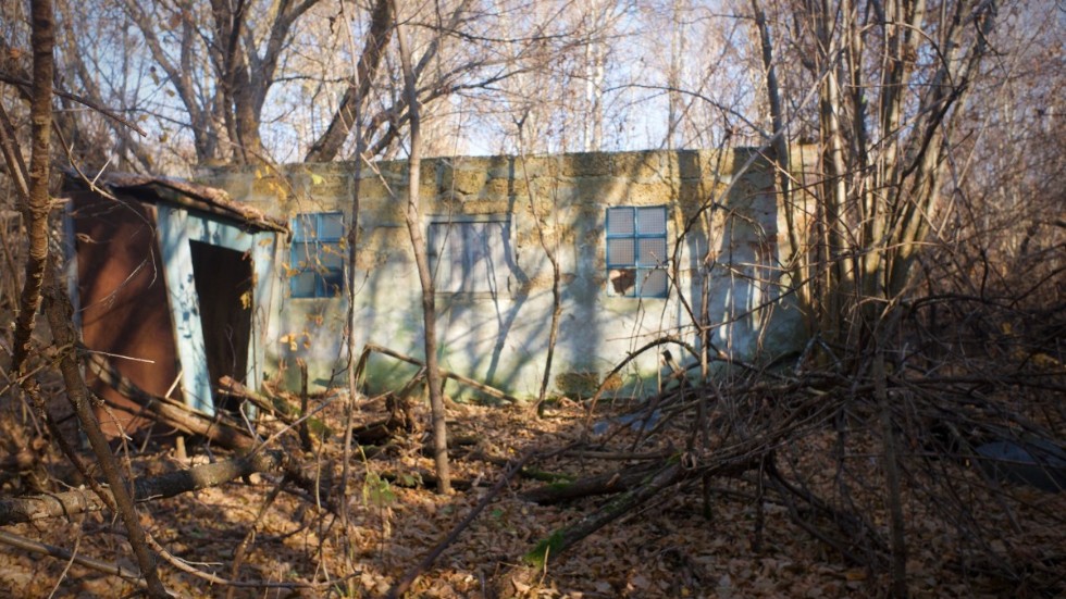 När Eskilstuna-Kurirens reporter var på plats i Tjernobyl i oktober 2021 gick det att se överväxta byggnader och byar i skogen. Under vår och sommar täcks dessa igen av täta lövverk.