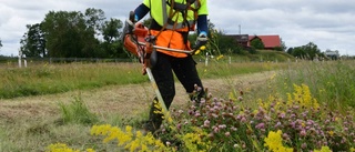 Upprörda känslor om klippta blommor