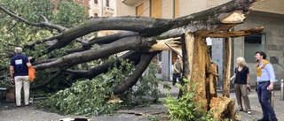 Italiens extremväder sätter klimatet på agendan