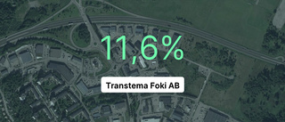 Guldår för Transtema Foki AB - vinstmarginalen den högsta på 4 år