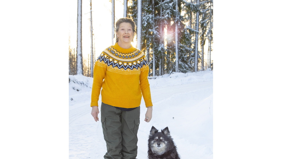 Utmärkelsen årets bragdhund 2023 tilldelas den elva år gamla finska lapphunden Saiva.