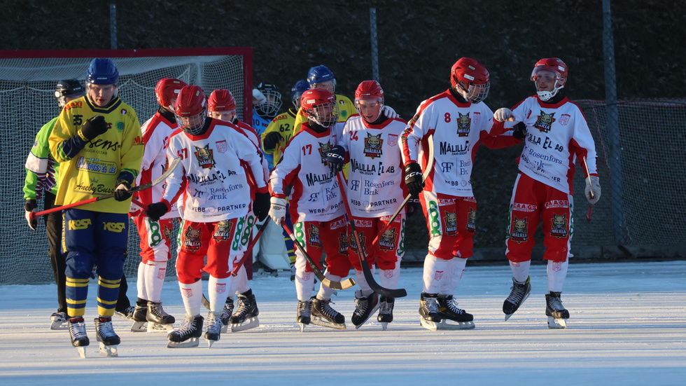 Målilla Bandy jublar efter reduceringen i slutet av den första halvleken mot Skirö. Till slut blev det 2-2. 