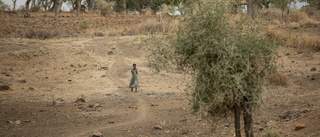 FN: Övergrepp och våldtäkter fortsätter i Tigray