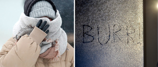 Extremkylan mildrad i Västervik – "bara" 20 minusgrader