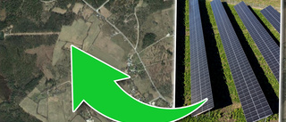 30 000 kvadratmeter – där kan nya solcellsparken anläggas