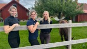 Hon brinner för hästar – "Hann med ridlektion på väg hem från BB"