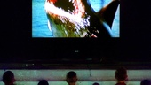 Här får unga se "Hajen" – i mörklagda poolen