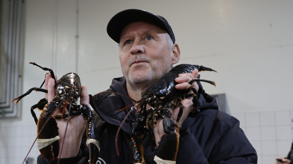Patrick Norén ropade in årets första humrar på fiskeauktionen i Göteborg.