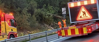 Flera nedfallna träd störde trafiken på E22