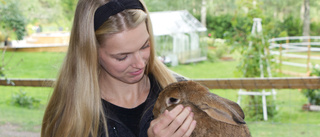 Fler dumpar kaniner – hon får ta emot dubbelt så många