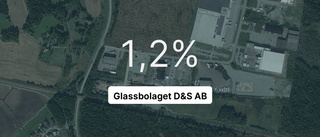 Vild tillväxt för Glassbolaget D&S AB - steg med 60,2 procent