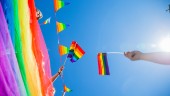 EU måste agera mot de Polska homofoberna