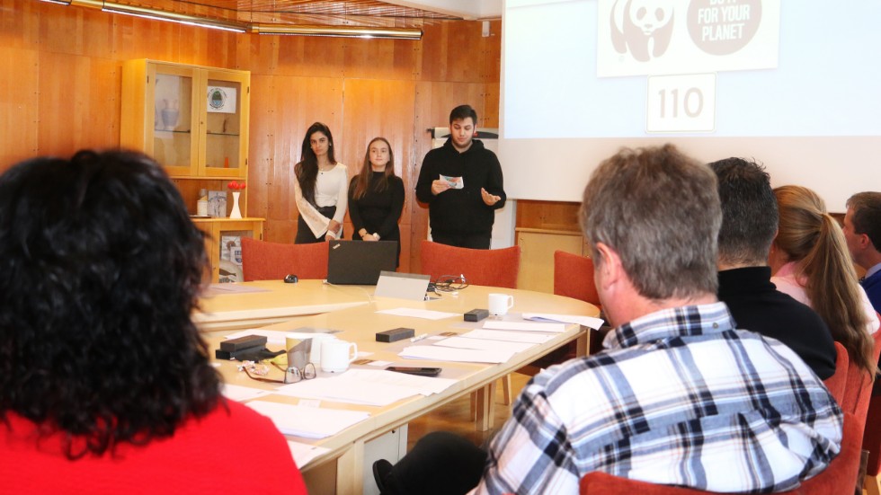 UF-företaget Inspir3 drivs av Kamille Lukosiute, Otman Tatar och Fatema Hasan och de berättar om sitt företag för juryn.