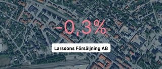 Så gick det för Larssons Försäljning AB under 2023