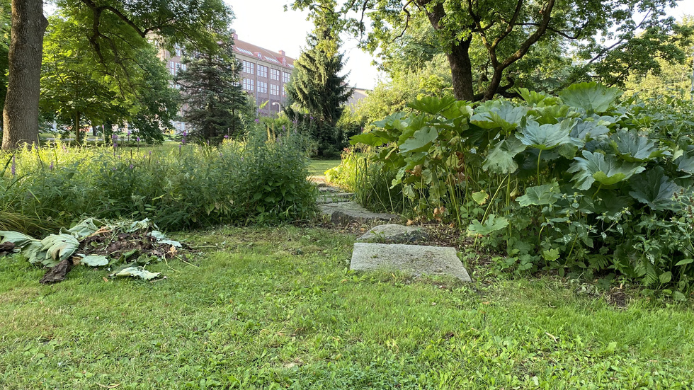 Den röjda stenbron i Rinmansparken i Eskilstuna.