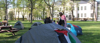 Här tältar studenter utanför Engelska parken
