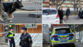 LIVE: ”Det här är inte roligt, Norrköping börjar bli katastrof”