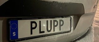 PLUPP och LIS1 – nya personligheter på vägarna