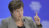 IMF varnar för tidiga räntesänkningar