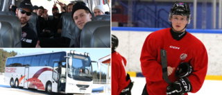 Vill se allsvenskt hockeylag i stan: "Skulle vara en dröm"