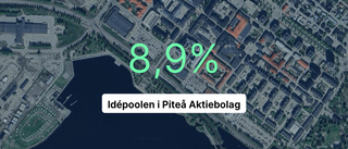 Minskad omsättning för Idépoolen i Piteå AB